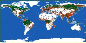 Deforestación mundial